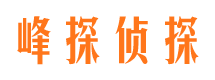 黟县市婚外情调查